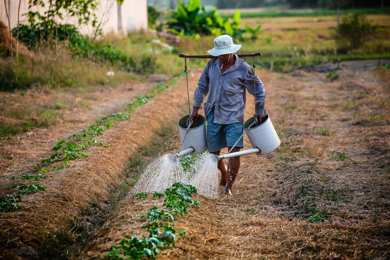 Développement rural